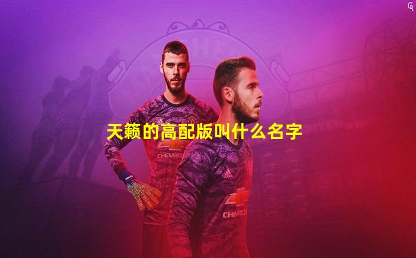 天籁的高配版叫什么名字