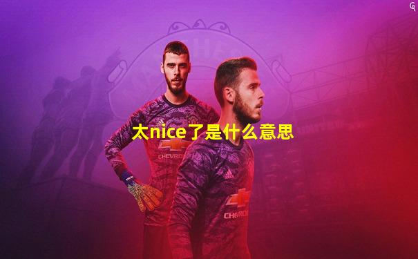太nice了是什么意思