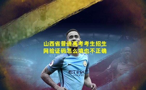 山西省普通高考考生招生网验证码怎么填也不正确