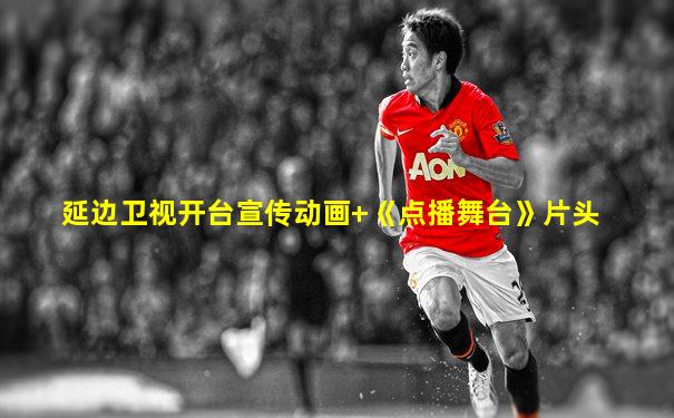 延边卫视开台宣传动画+《点播舞台》片头