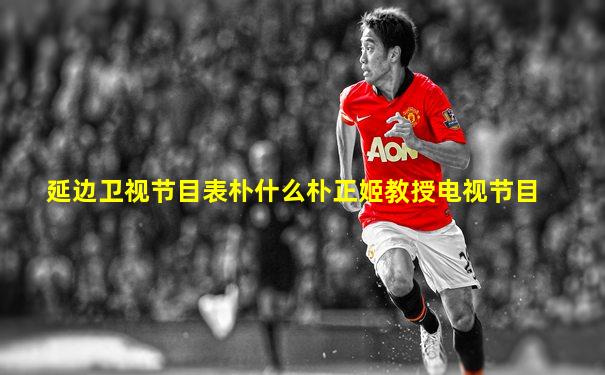 延边卫视节目表朴什么朴正姬教授电视节目