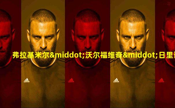 弗拉基米尔·沃尔福维奇·日里诺夫斯基