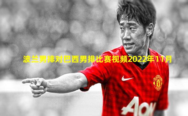 波兰男排对巴西男排比赛视频2022年11月