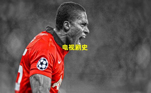 电视剧史