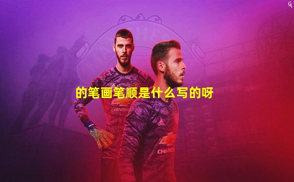 的笔画笔顺是什么写的呀