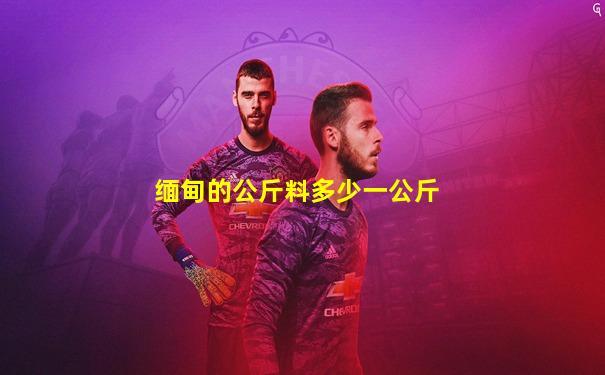 缅甸的公斤料多少一公斤