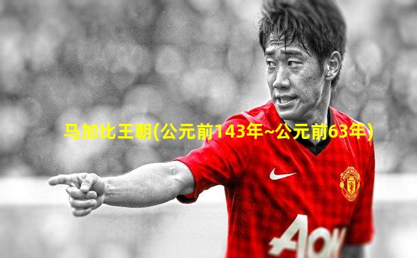 马加比王朝(公元前143年~公元前63年)