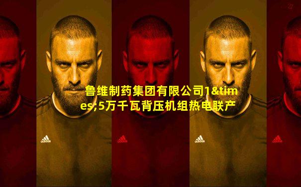 鲁维制药集团有限公司1×5万千瓦背压机组热电联产项目